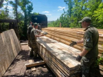 3,8 тысячи кубометров древесины отгрузили лесоводы Башкортостана в зону проведения СВО