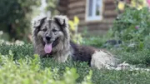 Синоптики рассказали, каким будет начало недели в Башкирии