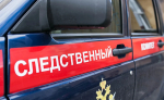 В Стерлитамаке 15-летняя девочка тяжело ранила ножом двух своих подруг