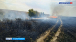 В Башкортостане за сутки зафиксировали один лесной пожар | ГТРК «Башкортостан»