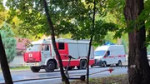 В Тюмени загорелась школа