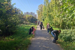 В Уфе более 46 тысяч человек вышли на общегородской субботник