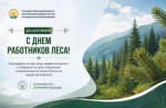 20 сентября - День работников леса