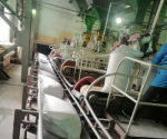 Производство сахара в Башкортостане составило 25 тысяч тонн