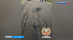 В Башкортостане задержали пьяного водителя авто без прав, который насмерть сбил пешехода и скрылся | ГТРК «Башкортостан»