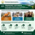 минэкологии Башкирии канал в Макс