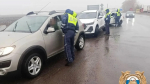 В Уфе пьяная девушка-водитель напала на полицейского