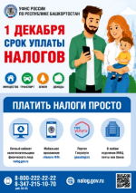 Срок уплаты налогов завершается 1 декабря.