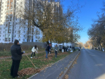 В общегородском субботнике приняли участие более 48 тысяч горожан