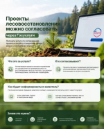 Согласовать проект лесовосстановления можно через Госуслуги