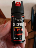 «Порядок и безопасность: роль судебных приставов в пропускном режиме»